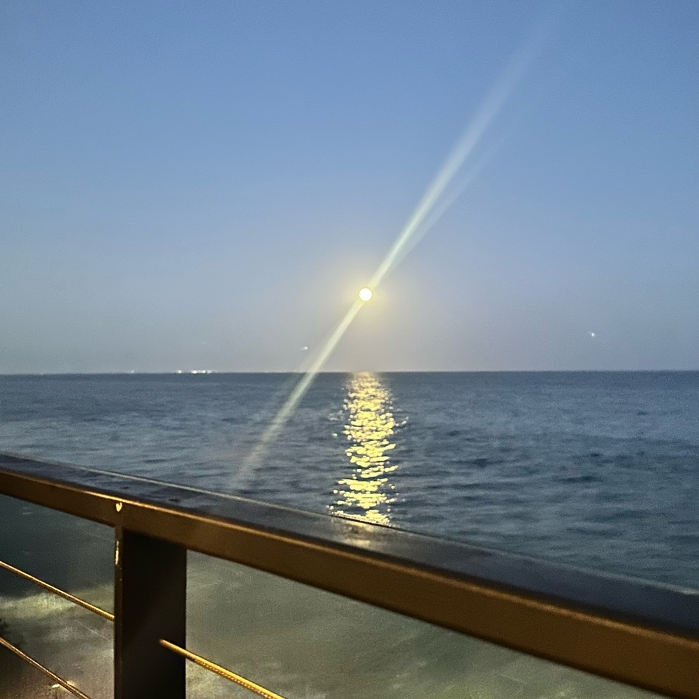 Meet your Posher, Joanne